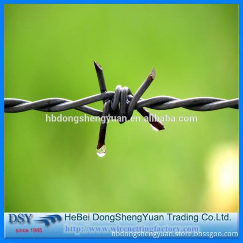 low price and high quality electro / hot dipped galvanized barbed wire
